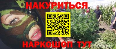 спайс Коммунар