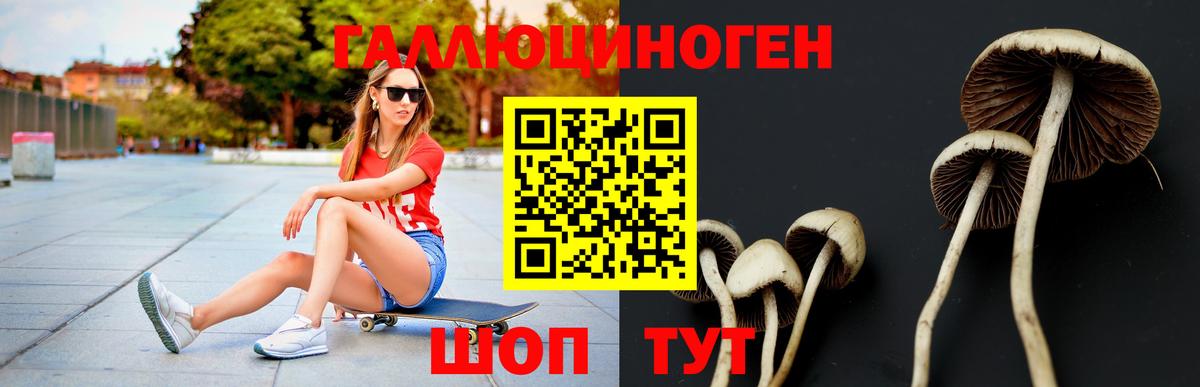 Галлюциногенные грибы Magic Shrooms Бирск