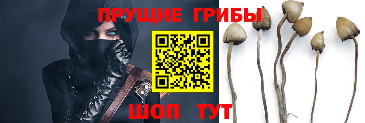 Бирск  Псилоцибиновые грибы ЛСД  Вход с VPN 